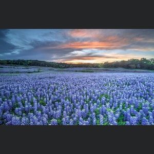 Meet your Posher, Claudia